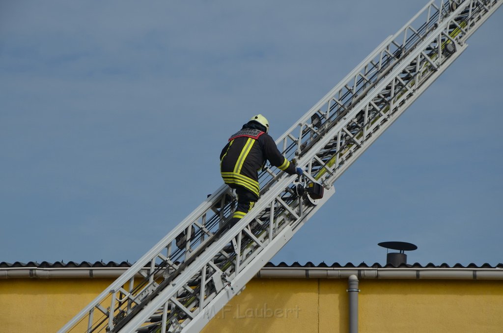 Grossfeuer Poco Lager Koeln Porz Gremberghoven Hansestr P828.jpg - Miklos Laubert